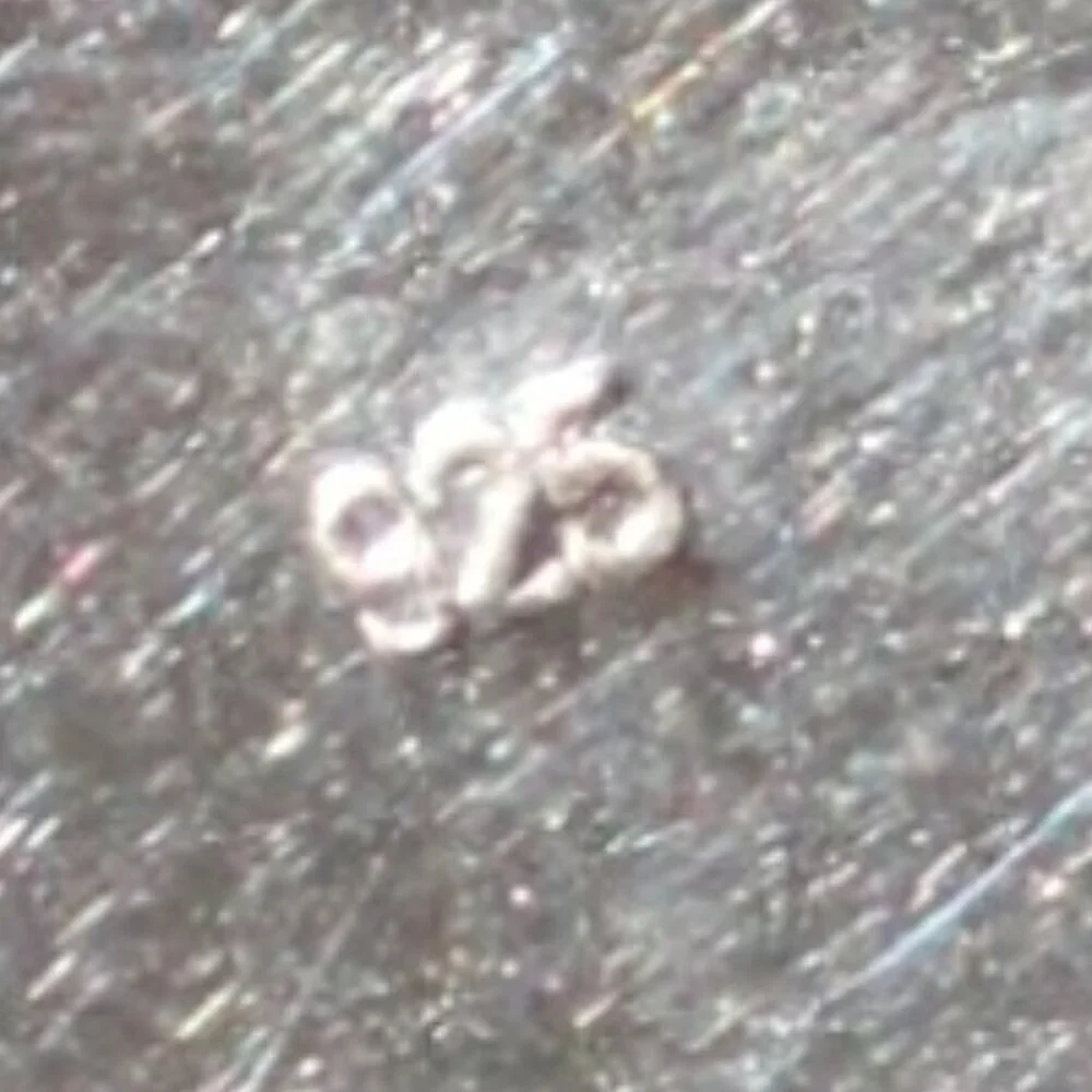 Sterling Silver Copal Earrings - Picture 4 of 5